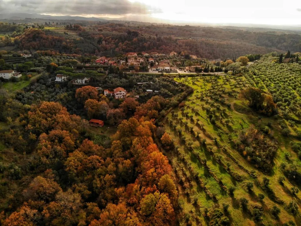 Villa Agriturismo Podere Santa Rita Montescudaio 0*,