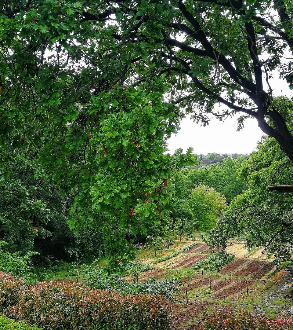 Agriturismo Podere Santa Rita Montescudaio Itálie